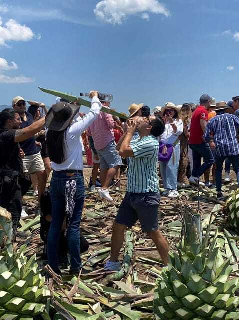 Mezcal Tour Oaxaca - Mezcal Maestro Master Class and the Big Tasting: Up to 13