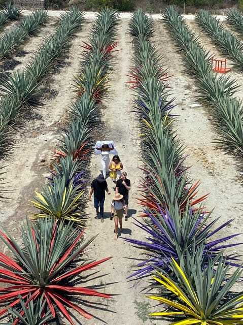 Mezcal Tour Oaxaca - Pulqueria Visit: The Fermented Drink Side of Oaxaca