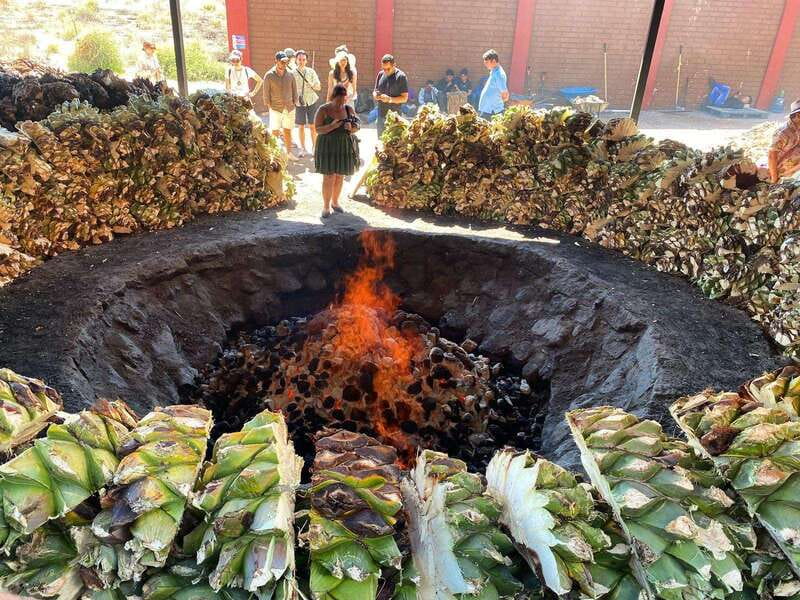 Mezcal Tour Oaxaca - Inside a Working Mezcal Distillery: From Plant to Palenque