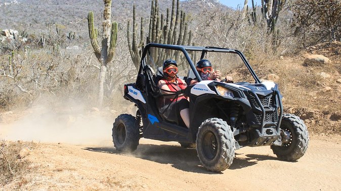 Migriño & Desert off-road Tour UTV Adventure - Price, value, and the add-ons to budget for