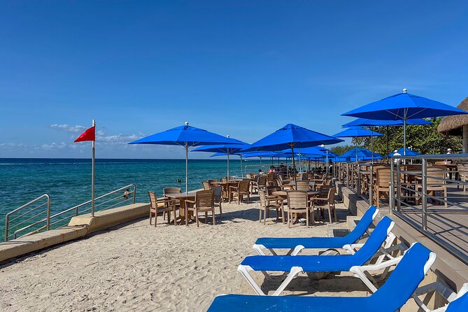 Money Bar Day Pass with Snorkel & Mexican Lunch - Shore snorkeling at Dzul-Ha Reef: what you’re really paying for
