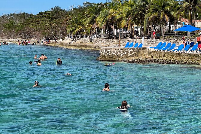 Money Bar Day Pass with Snorkel & Mexican Lunch - What coral and marine life should feel like here