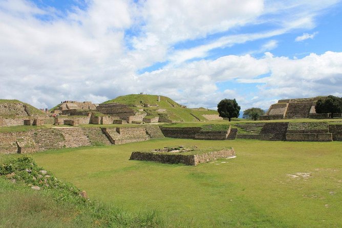 Monte Alban, Alebrijes & Black Pottery: Oaxaca Essential Day Tour - Van Time, Pickup Timing, and Keeping the Day From Getting Messy