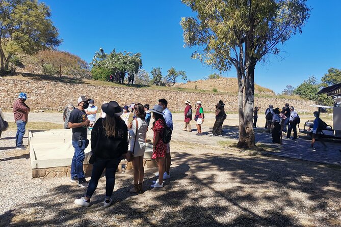 Monte Alban - Full Day Guided Tour with or without Food - Oaxaca - Why the 8:00 AM Monte Albán Timing Matters More Than You Think