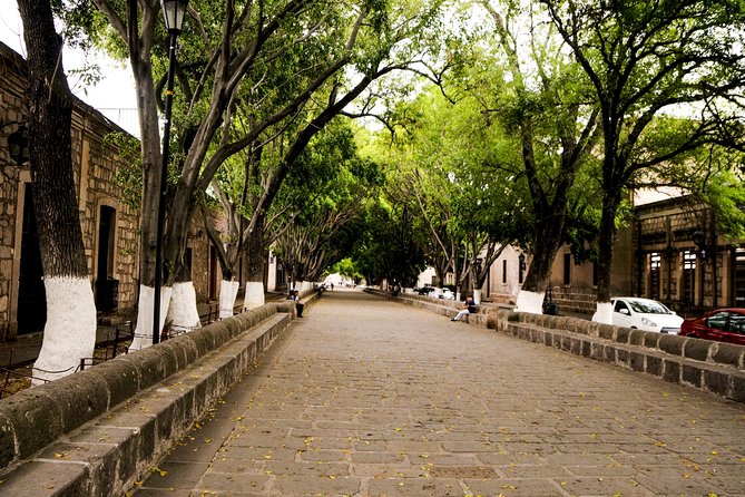 Morelia City Tour - Santa Rosa de Lima and the first nun convent story