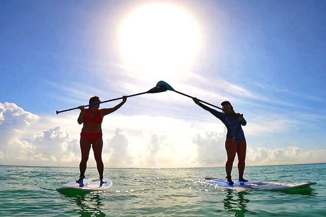 Morning Session - All Levels Paddleboard Group Caribbean Sea - Playa del Carmen on a Standup Paddleboard: The simple reason it works