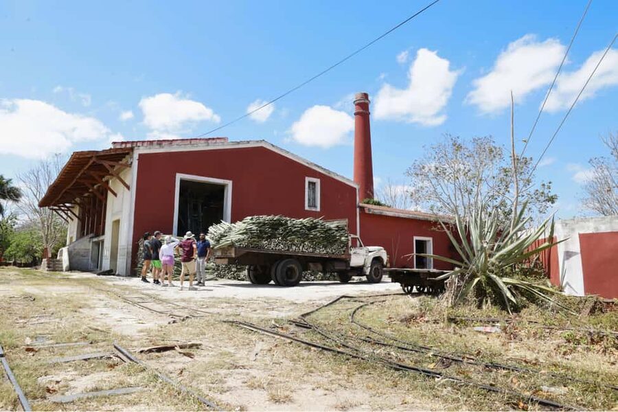 Motul, Hacienda, Xcambo, Pink Salt Mine & Progreso Day Trip - Who should book this day trip, and who might not