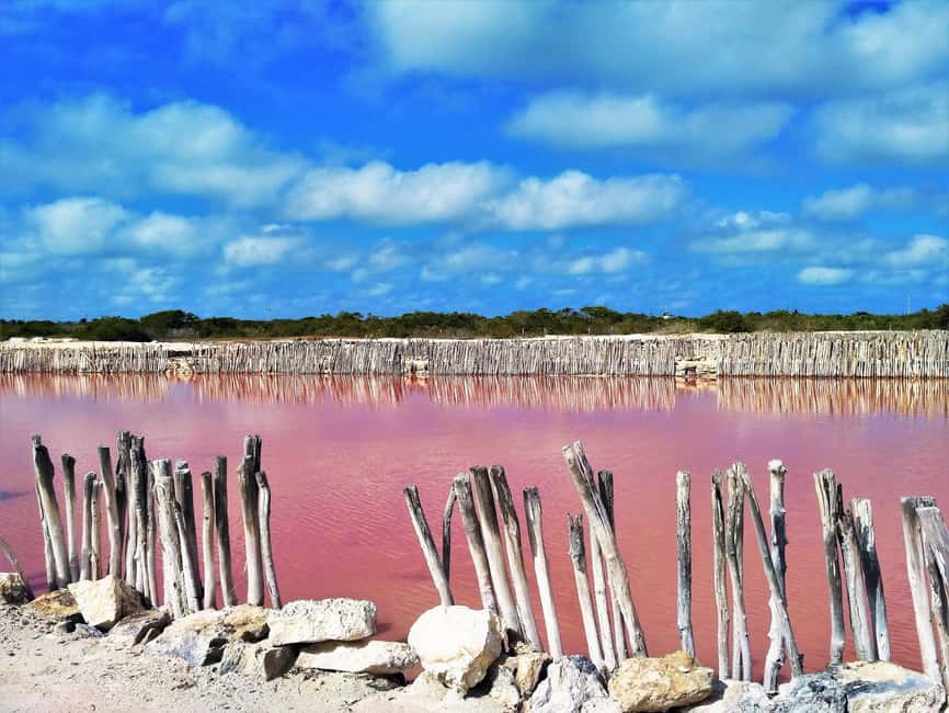 Motul, Hacienda, Xcambo, Pink Salt Mine & Progreso Day Trip - Hacienda San Eduardo in Dzemul: henequen history in walking distance