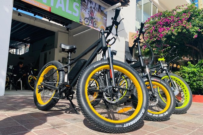 Mountain Tour Puerto Vallarta Electric Bikes - The 9:10 am cruise: Malecón sculptures and quick city context