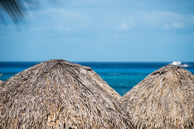 Mr. Sanchos Beach Club All-Inclusive Day Pass - Your day in sequence: what happens once you arrive