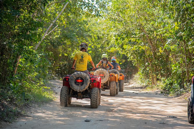 Mud Madness at Selvatica - Cenote break: why the sinkhole swim is the perfect mid-day reset
