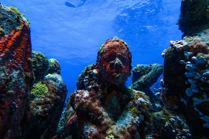 MUSA Museum and Colorful Reef 2 Tank Dive-Certified Divers - Meeting point: Aqua Adventures Eco Divers in Centro
