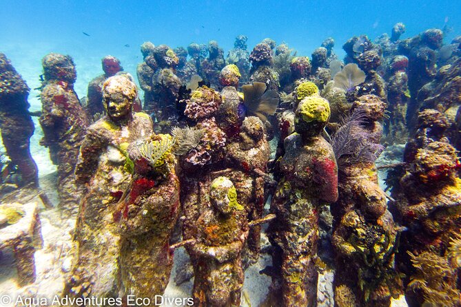 MUSA Museum and Colorful Reef 2 Tank Dive-Certified Divers - MUSA Underwater Museum of Art at about 30 feet