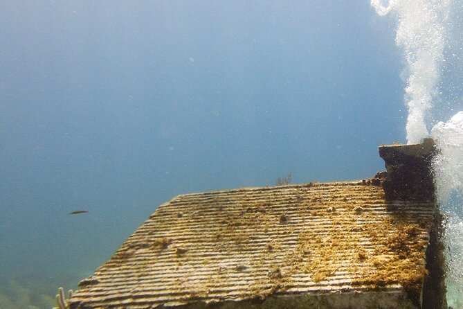 MUSA Museum and Colorful Reef 2 Tank Dive-Certified Divers - The Manchones Reef: protected wildlife habitat