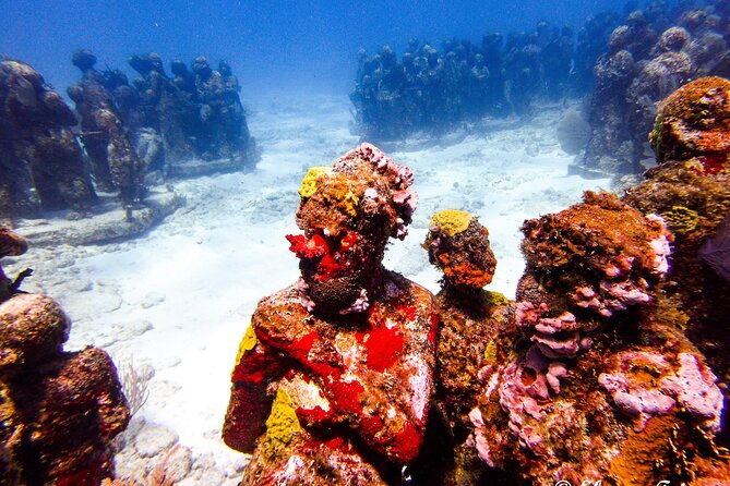 MUSA Museum and Colorful Reef 2 Tank Dive-Certified Divers - Crew and care: what small groups tend to get right