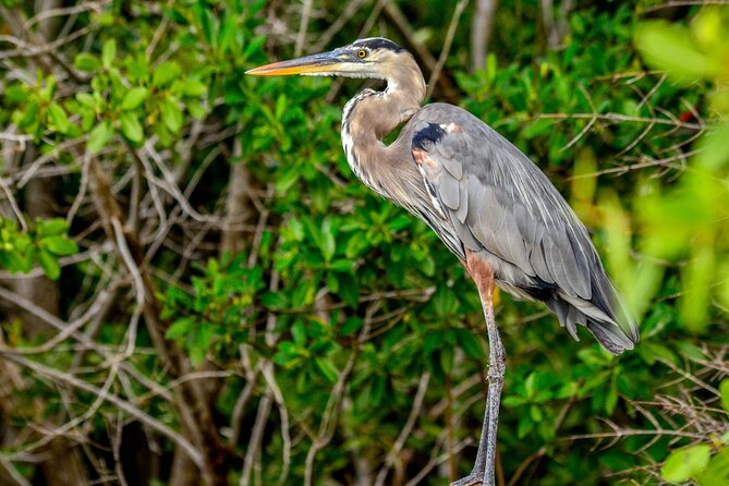 Nature tour by boat in the Natural Reserve in Río Lagartos - Who should book this Río Lagartos boat-and-mud tour
