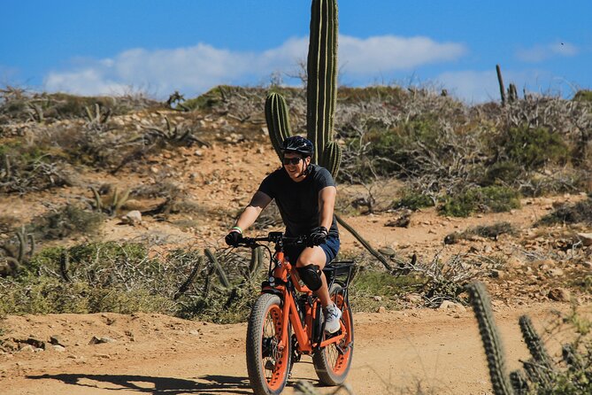 New Attraction: Guinness World Record Sky Bike in Los Cabos - Playa Migriño: dunes, whales in winter, and sunset time