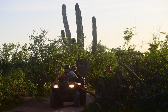 New!!! Extreme Beach & Desert Off-Road Atv Experience… - Price And Value: Is $80 USD Worth It?