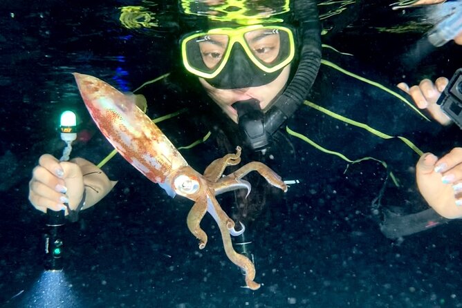 Night Snorkeling - Observation of octopus and other species - What You’ll See After Dark: Octopus, Squid, Eels, Rays, And More