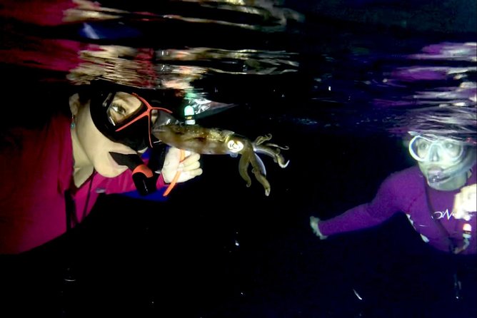 Night Snorkeling - Observation of octopus and other species - The Guide Experience: Lalo, Danny, Eduardo, Miranda, And The Rest Of The Team