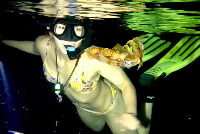 Night Snorkeling - Observation of octopus and other species - The Shallow Swim Zone: Why The “Two Basketball Courts” Area Works