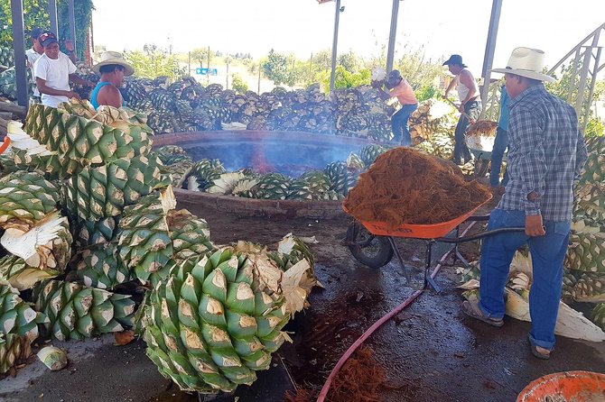 Oaxaca Conmigo Private Tours - The people factor: guides, English, and how the day stays human