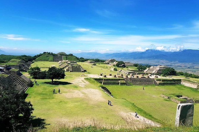 Oaxaca Conmigo Private Tours - Who should book this tour, and who should not