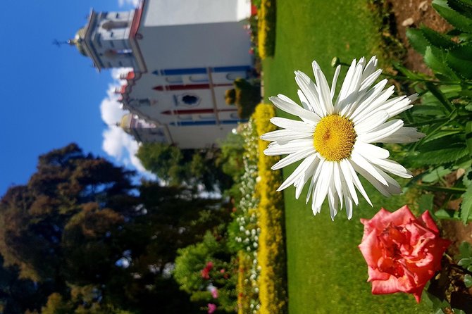 Oaxaca Conmigo Private Tours - Should you book Oaxaca Conmigo Private Tours?