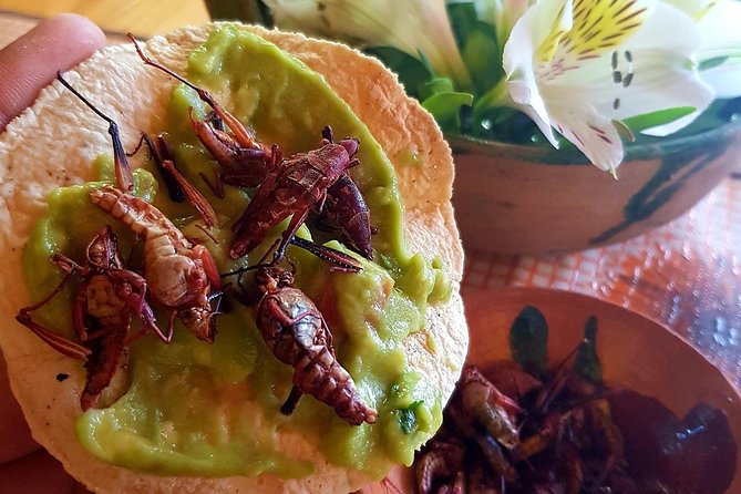 Oaxaca Conmigo Private Tours - FAQ