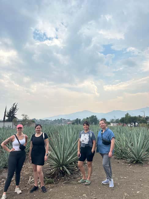 Oaxaca: Hierve el Agua & Mezcal Distillery Small-Group Tour - Hierve el Agua: two hours to explore, swim, and take on the slippery parts