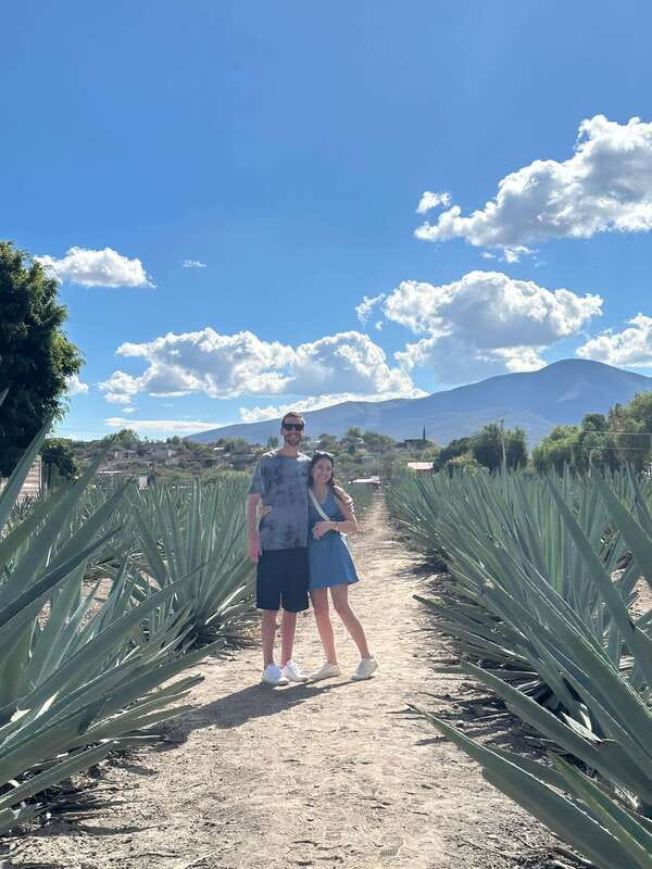 Oaxaca: Hierve el Agua & Mezcal Distillery Small-Group Tour - Food plan at Hierve el Agua: street snacks vs buffet lunch
