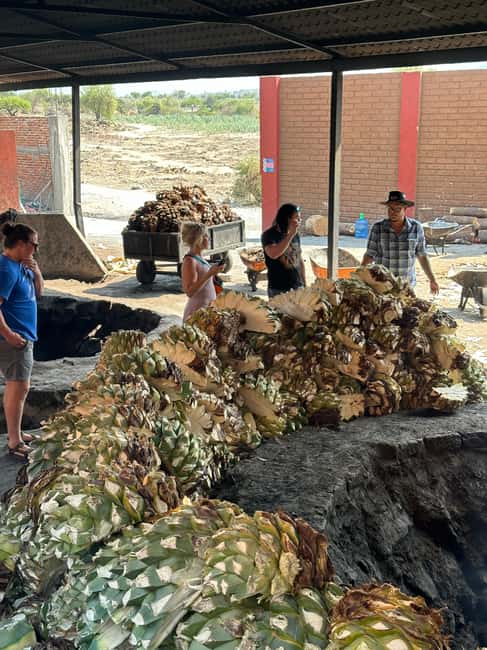 Oaxaca: Hierve el Agua & Mezcal Distillery Small-Group Tour - Mezcal tasting: bottomless means pace yourself