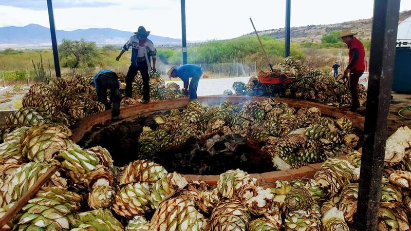 Oaxaca: Mezcal Adventure - Key moments you’ll actually remember