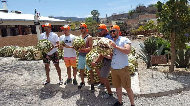 Oaxaca: Mezcal Adventure - From Downtown Oaxaca to Tlacolula Valley: the drive that sets context