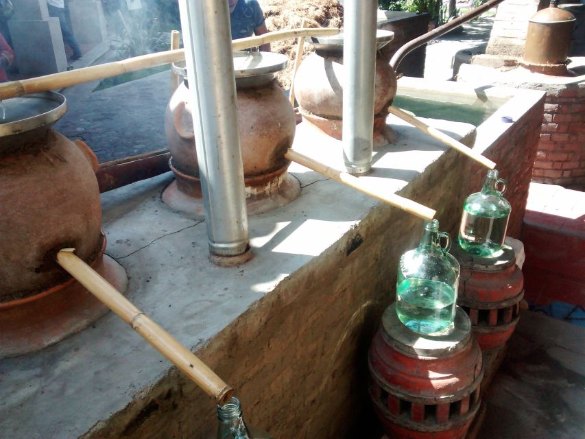 Oaxaca: Mezcal Adventure - Rustic family palenque to more sophisticated artisanal production