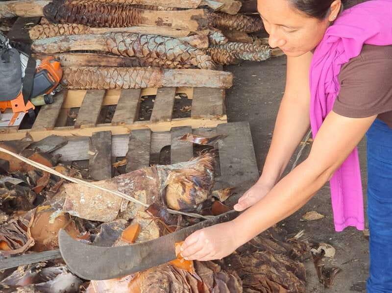 Oaxaca: Mezcal Adventure - The lunch stop at a distillery restaurant, plus a final toast