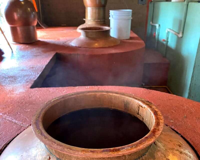 Oaxaca: Mezcal Adventure - Who should go, and who should skip it