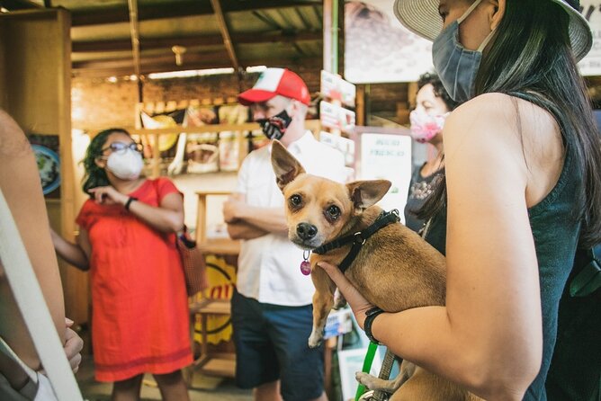 Oaxaca Street Food Tour. Signature Markets Tour - Why this Oaxaca street food tour feels different from “just snacks”