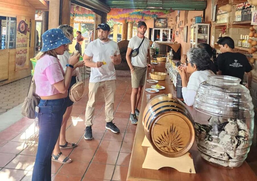 Oaxaca: Tule, Mitla & Hierve el Agua, & Mezcal Tour - How the day runs: pickup, timing, and why it feels easy