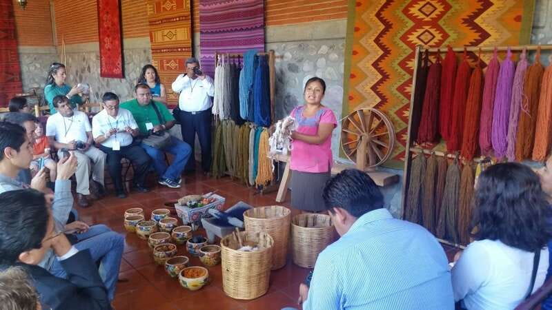 Oaxaca: Tule, Mitla & Hierve el Agua, & Mezcal Tour - Tree of Tule: the 2,000-year-old giant you can actually understand