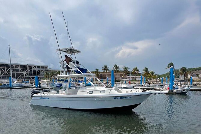 Ocean Eco Adventure with Marine Biologist Guides - Snorkeling at park reefs without the big-boat crowd pressure