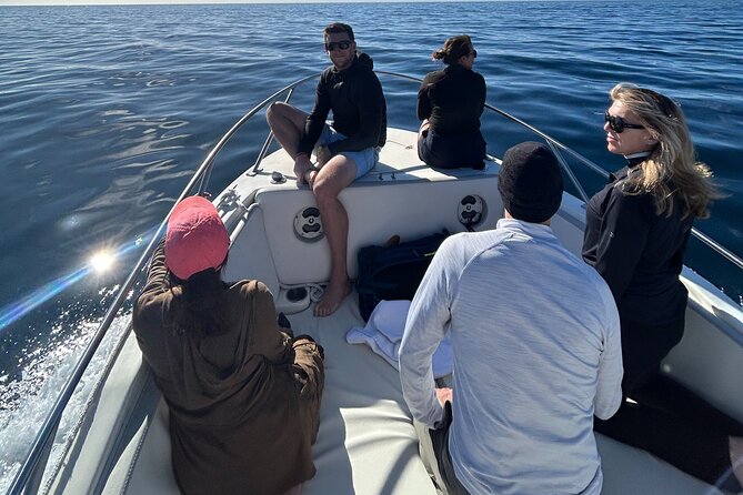 Ocean Safari in San Jose del Cabo - What the 5 Hours Really Feels Like: Time on the Water Without the Rushed Vibe