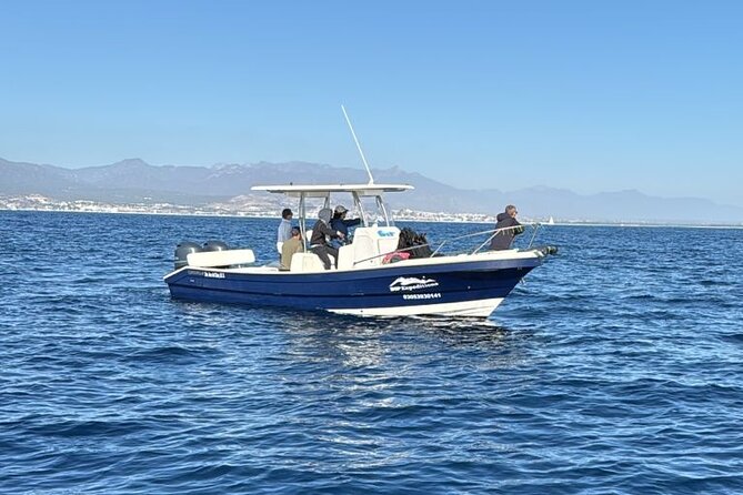 Ocean Safari in San Jose del Cabo - Price and Value: Is $200 Worth It for This Kind of Safari?