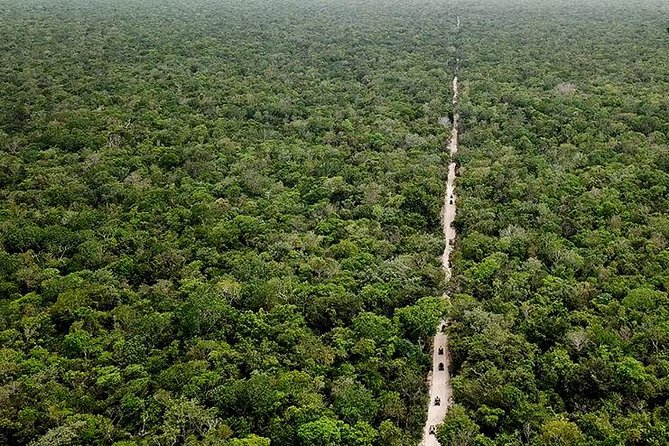 Off Road ATV Tour at the Akumal Monkey Rescued Animals Sanctuary - Photos and Food: The Extras You’ll Want to Budget For