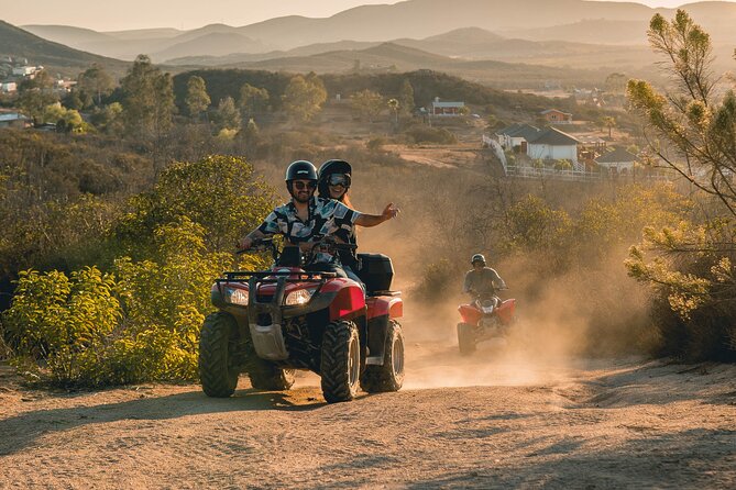 Off Road Tour Experience plus Winery visit in Baja - Winery stops: the drive-by vineyards, then the Don Tomás 30 minute moment