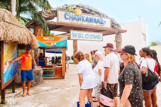 Official Chankanaab Beach Park Day pass with Snorkel - Logistics from port: how to get there without wasting your cruise-day energy