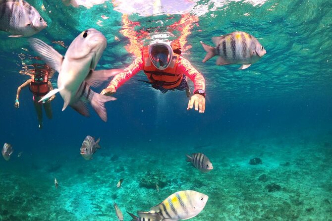 Official Chankanaab Park Day pass and Snorkel with Lunch included - Your day at Chankanaab: beach time, sea lions, and Mayan replicas