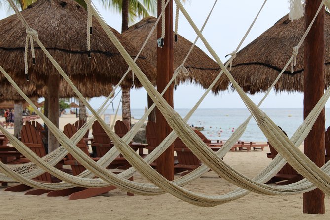 Official Chankanaab Park Day pass and Snorkel with Lunch included - Getting the most out of your time: pacing the park and your snorkel window
