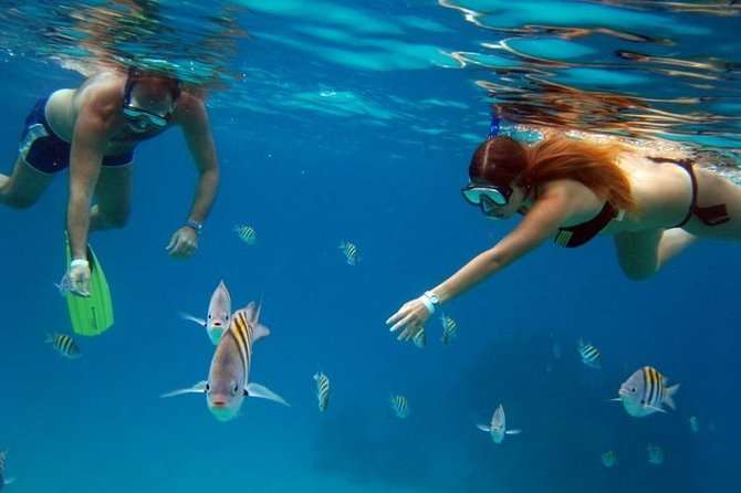 Official Chankanaab Park Day pass and Snorkel with Lunch included - Lunch by the shore: included, but not always a full buffet feeling