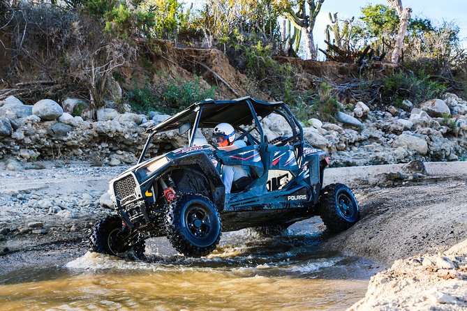 OffRoad 4X4 UTV Adventure with unlimited Lunch & Tequila - Lunch at Tierra Sagrada: Unlimited Mexican Buffet, Quesadillas, and Views